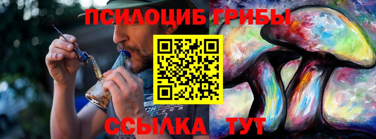 Псилоцибиновые грибы прущие грибы Звенигород