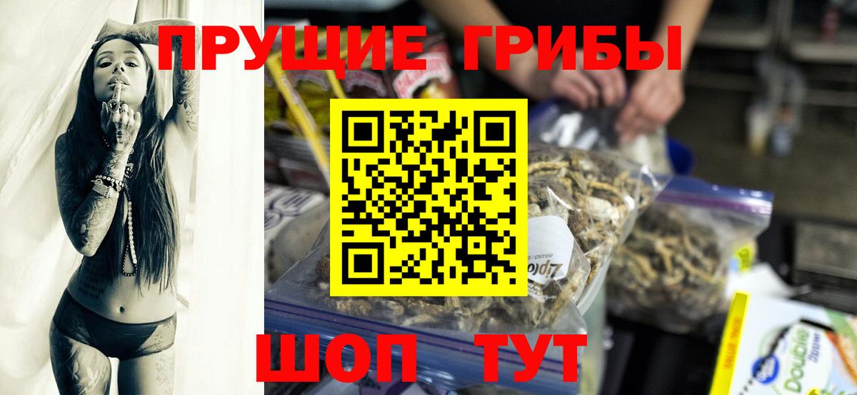 Псилоцибиновые грибы GOLDEN TEACHER  Галлюциногенные грибы GOLDEN TEACHER  Вход с VPN  Звенигород 